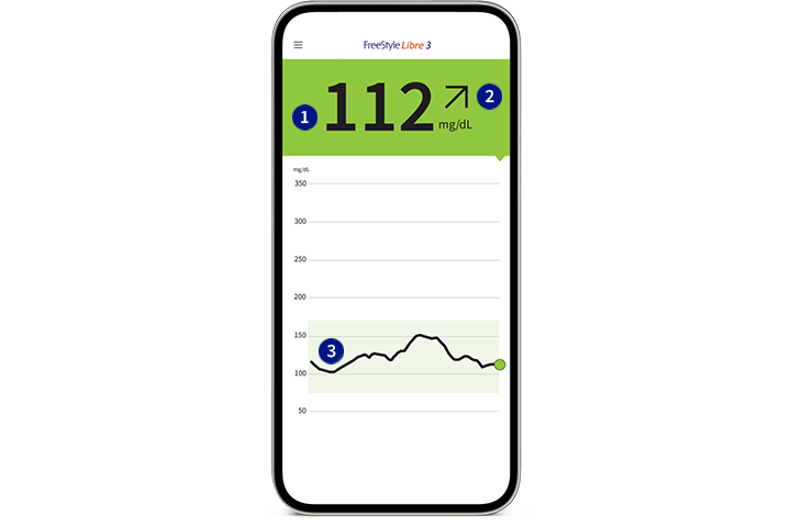 Echtzeit Glukosewerte auf einen Blick