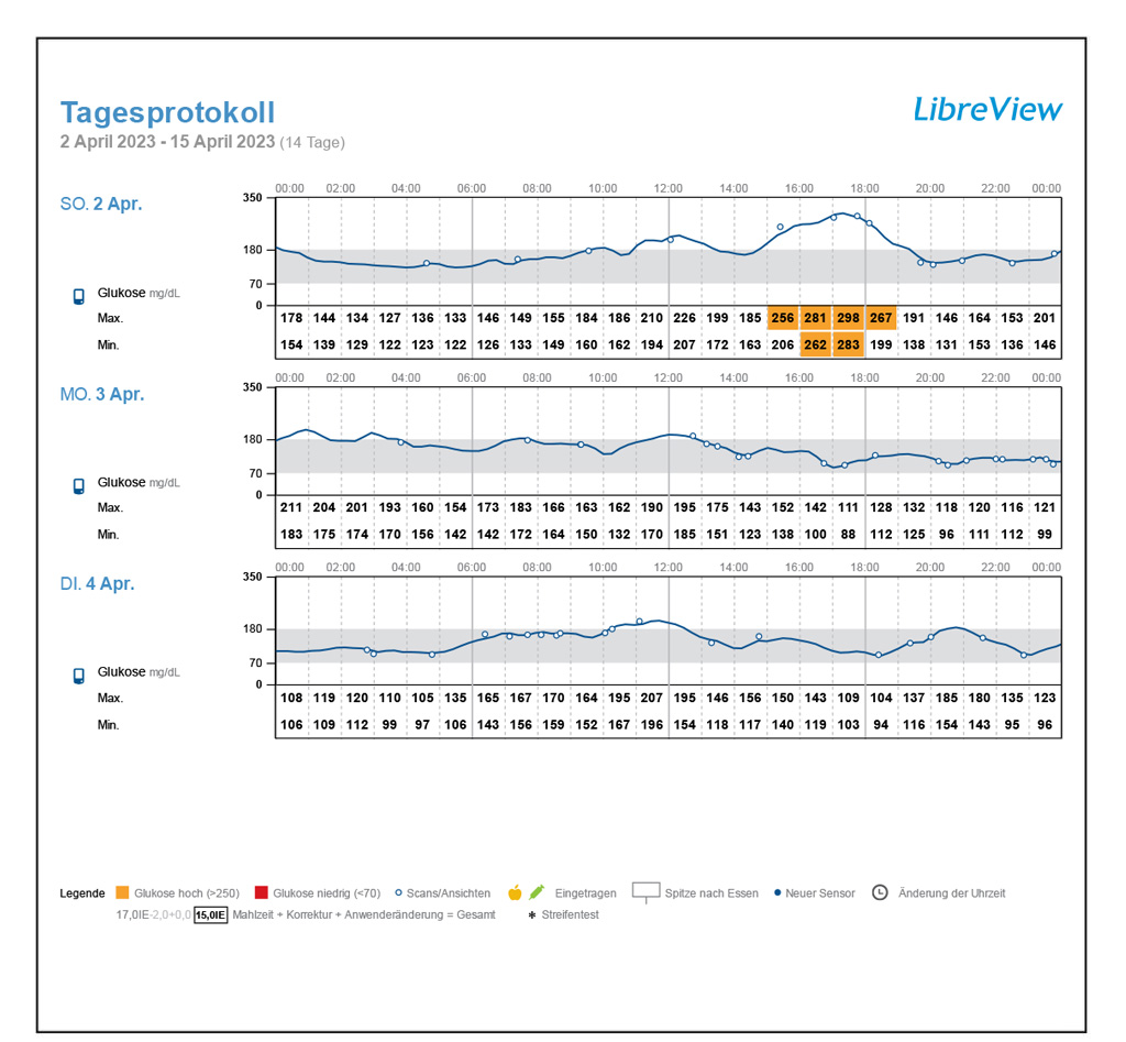 Abbildung Tagesprotokoll