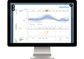 A LibreView report shown on a screen