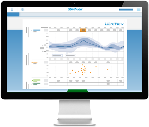 Screenshot LibreView Momentaufnahmen