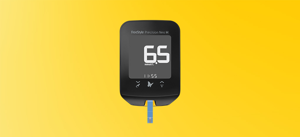 FreeStyle Precision Pro and Optium Neo Blood Glucose Meters and LibreView report shown on a computer monitor.