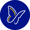 Butterfly icon blue and yellow 