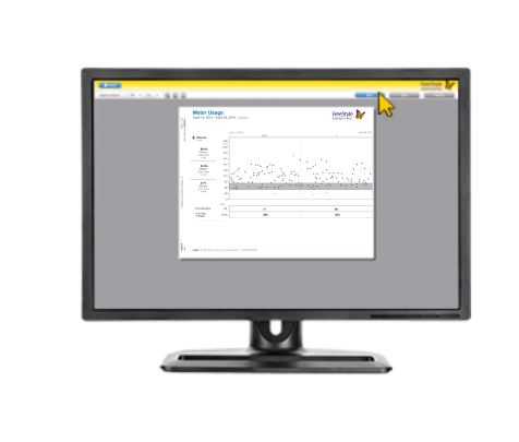 auto assist creating reports
