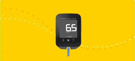 FreeStyle Precision Pro and Optium Neo Blood Glucose Meters and LibreView report shown on a computer monitor