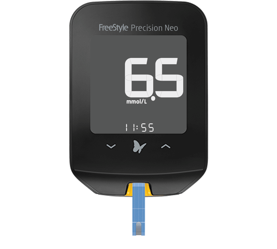 FreeStyle Precision Pro and Optium Neo Blood Glucose Meters and LibreView report shown on a computer monitor.