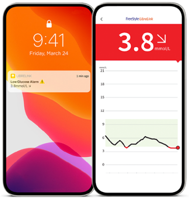 FreeStyle LibreLink notifications