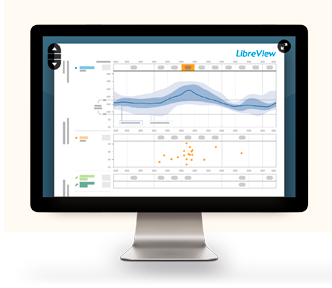 LibreView report shown on a computer screen.