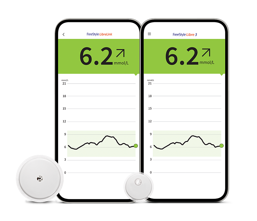 FreeStyle Libre 2 and 3 System