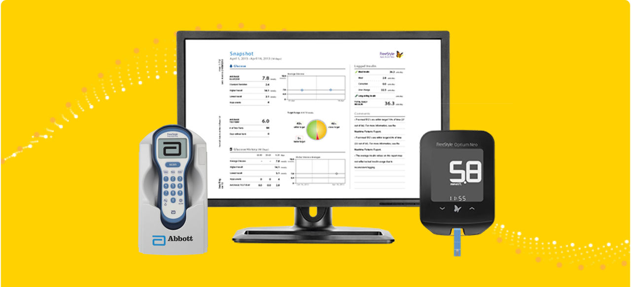 FreeStyle Precision Pro and Optium Neo Blood Glucose Meters and LibreView report shown on a computer monitor.
