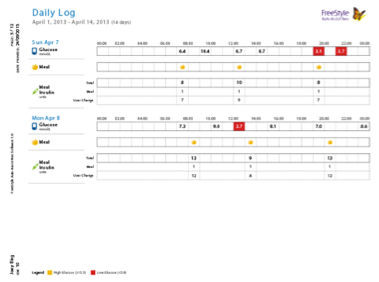 Auto-Assist Daily Log report.