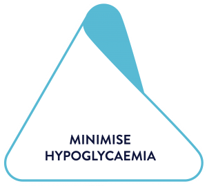 Point two of the Triangle of Diabetes Care: Minimise Hypoglycaemia.